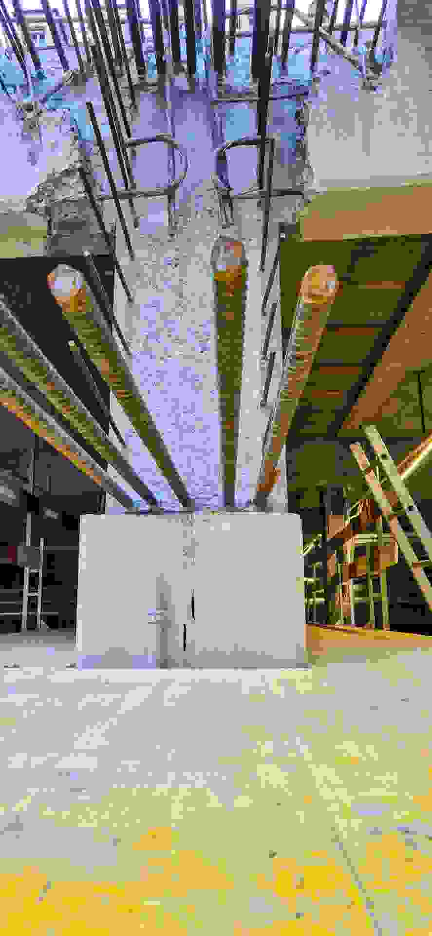20250325_072417-1.jpeg