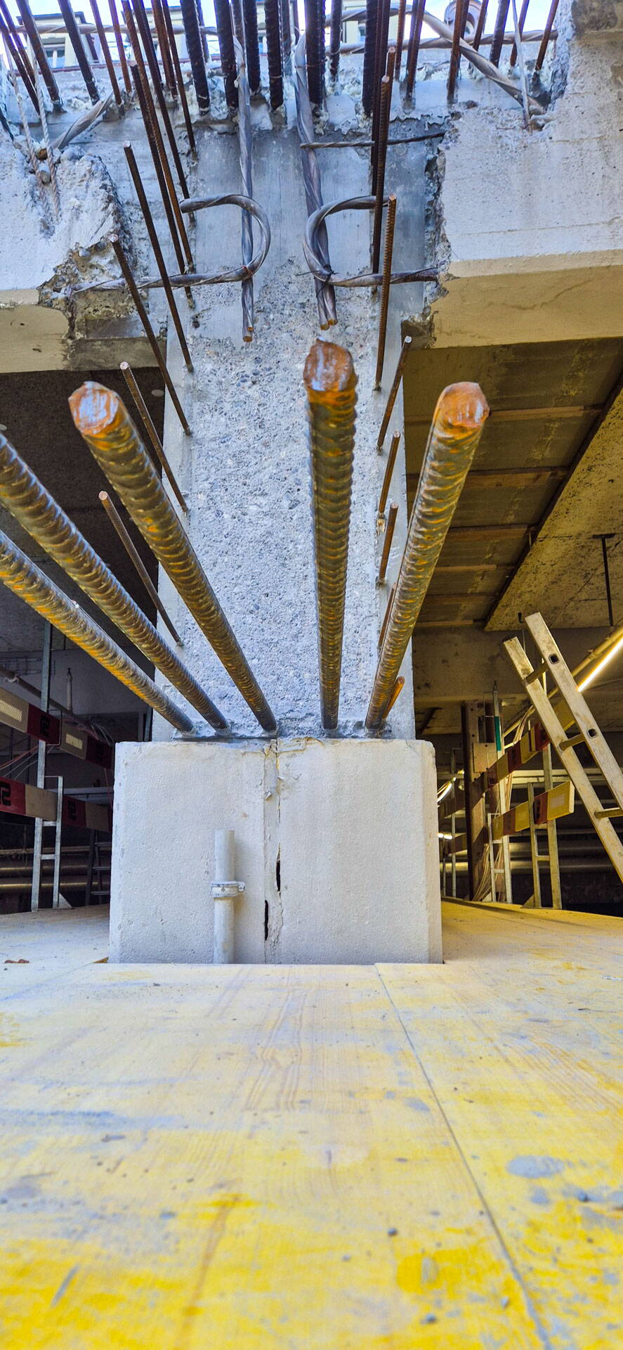 20250325_072417-1.jpeg 20250325_072417-1.jpeg